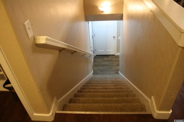 stairway with hardwood / wood-style floors