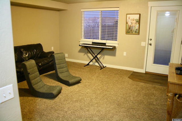 living area with dark colored carpet