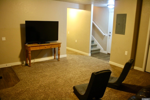 basement with carpet flooring and electric panel