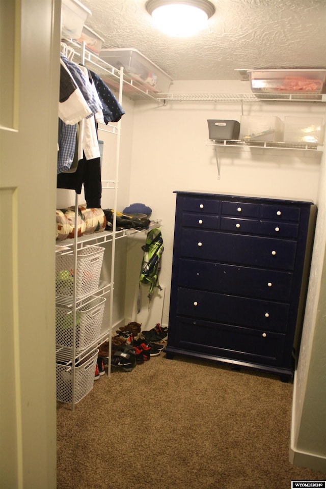 spacious closet with carpet floors