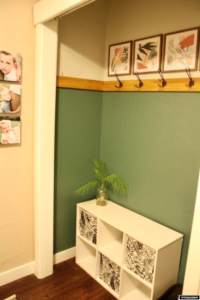 mudroom featuring dark wood-type flooring