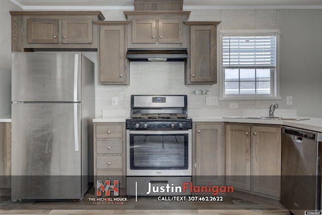 kitchen featuring sink, stainless steel appliances, light hardwood / wood-style flooring, crown molding, and extractor fan