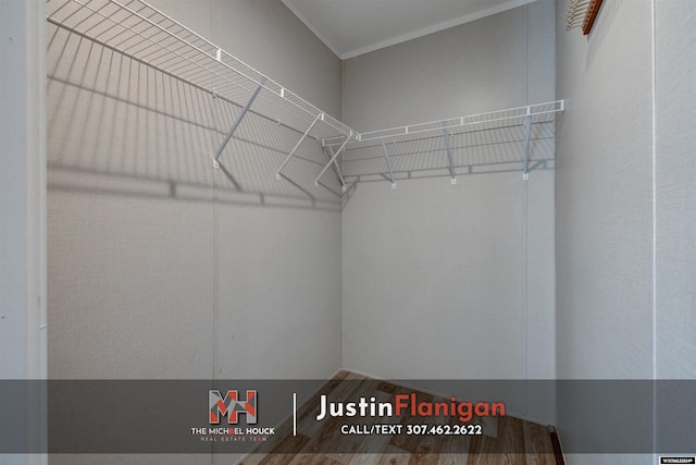 walk in closet featuring hardwood / wood-style floors