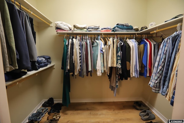 spacious closet featuring light hardwood / wood-style floors