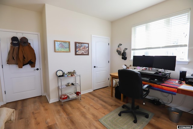 office featuring hardwood / wood-style floors