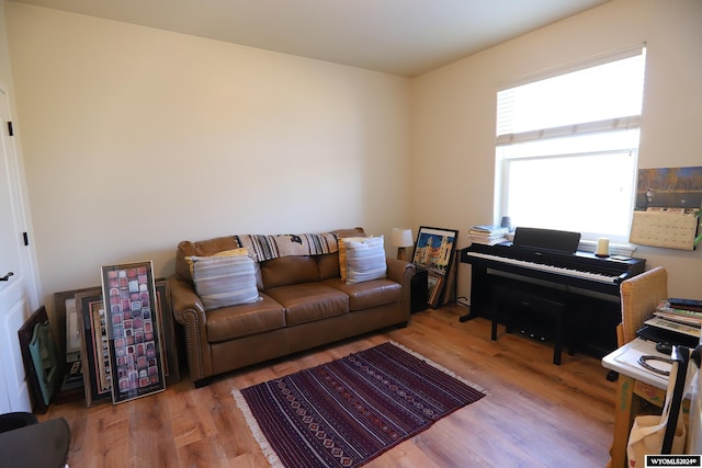 living room with light wood-type flooring