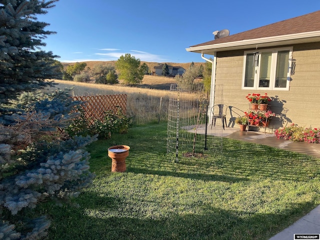 view of yard with a patio