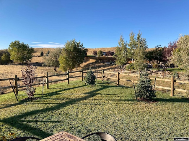 view of yard with a rural view