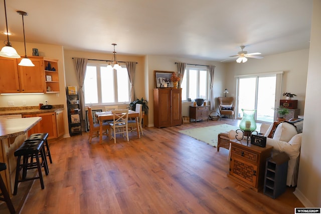 living room with a wealth of natural light, dark hardwood / wood-style flooring, and ceiling fan