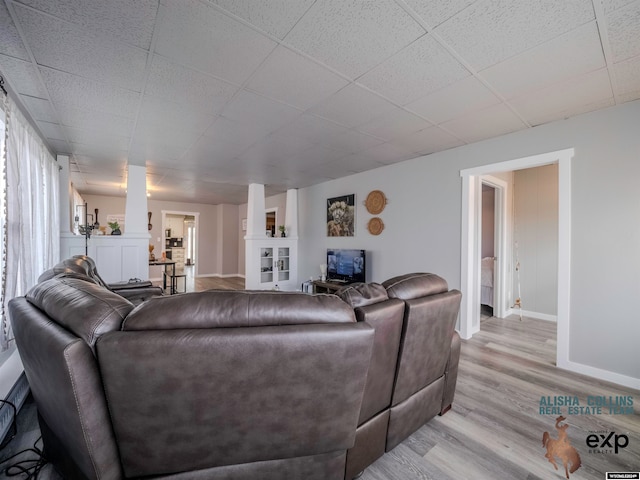 living room featuring a drop ceiling and light hardwood / wood-style floors