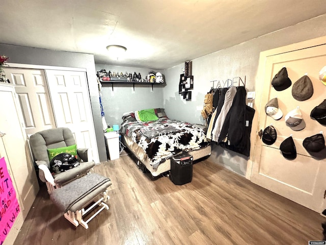 bedroom featuring a closet and hardwood / wood-style floors