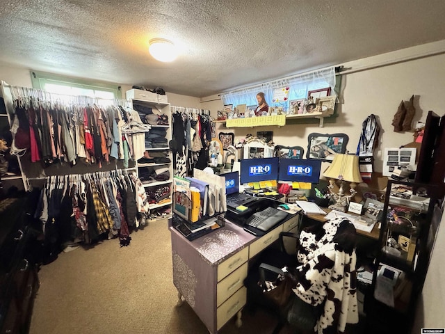 walk in closet with carpet