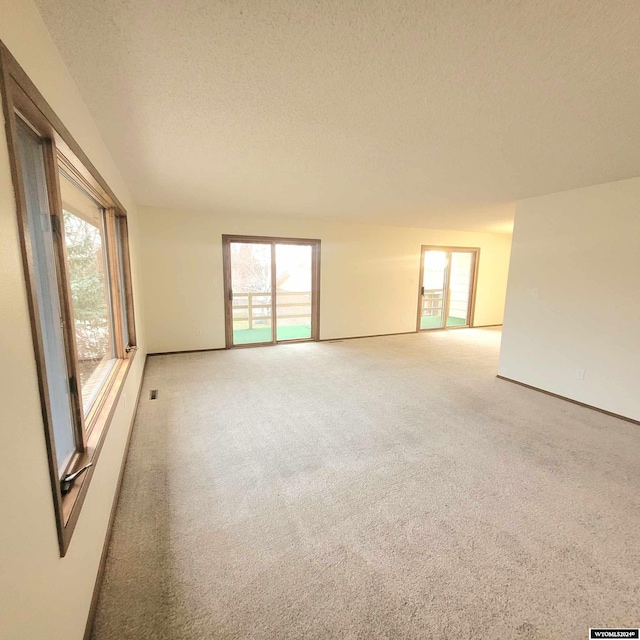 unfurnished room with carpet floors and a textured ceiling