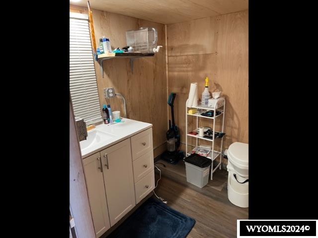 bathroom featuring vanity, wood walls, and wood-type flooring