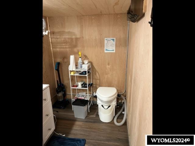 bathroom with hardwood / wood-style floors and vanity