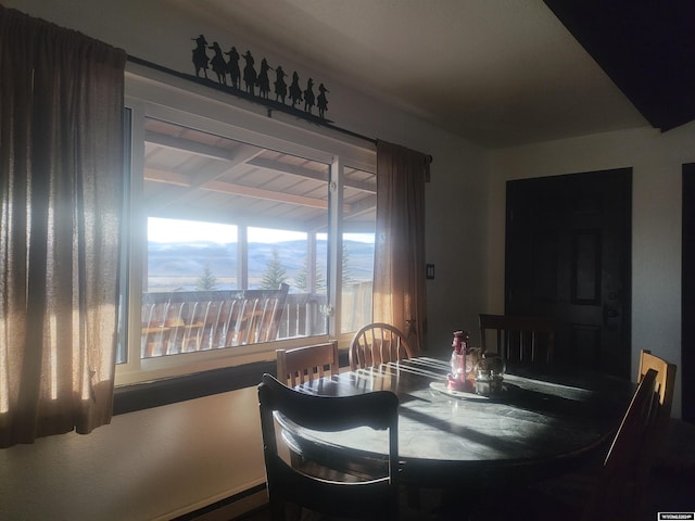 dining room with a baseboard radiator