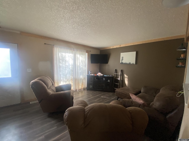 living room with dark wood-type flooring and a textured ceiling