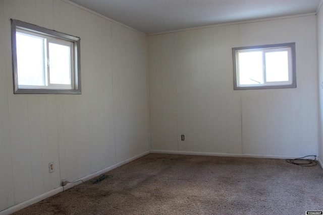 carpeted empty room featuring a healthy amount of sunlight and ornamental molding