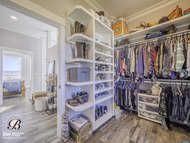 walk in closet featuring wood-type flooring