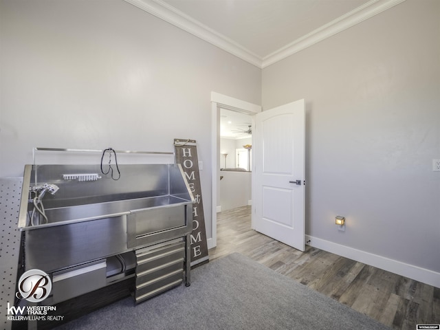 misc room with hardwood / wood-style floors and crown molding