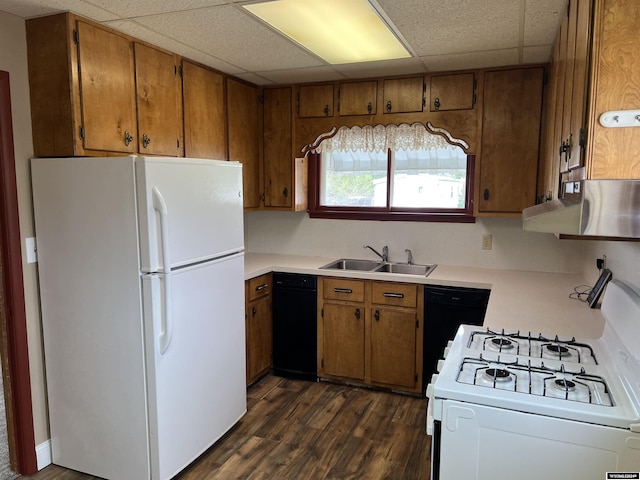 kitchen with dark hardwood / wood-style flooring, a paneled ceiling, white appliances, extractor fan, and sink