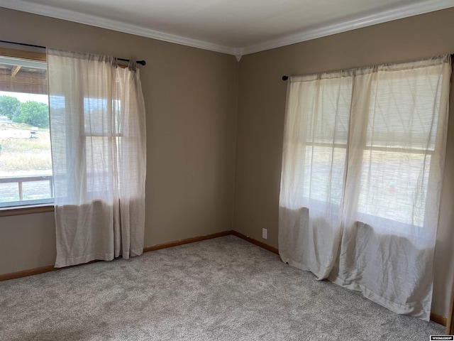 empty room with a healthy amount of sunlight, light colored carpet, and ornamental molding