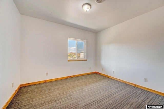 spare room featuring carpet floors