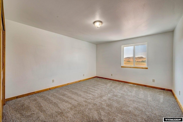 empty room featuring carpet flooring and a textured ceiling