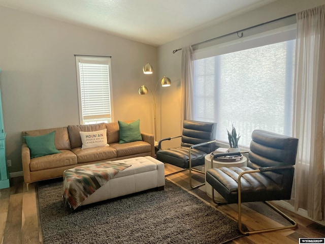 living room with hardwood / wood-style floors and vaulted ceiling