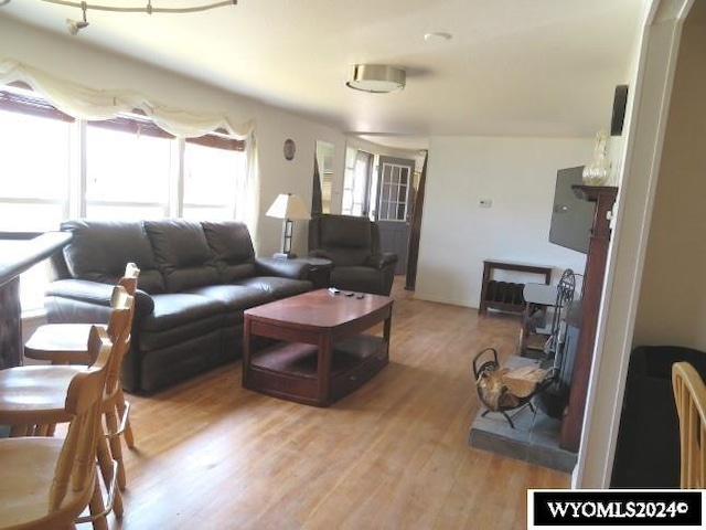 living room with light wood-type flooring