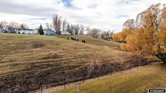 view of yard featuring a rural view