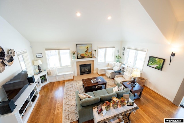 living room featuring a healthy amount of sunlight, light hardwood / wood-style floors, and vaulted ceiling