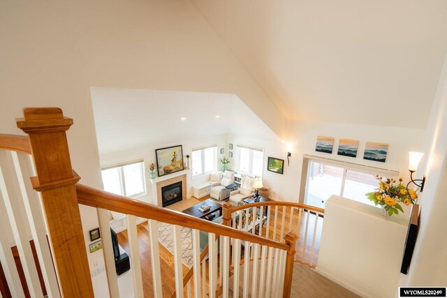 stairs featuring carpet flooring and a towering ceiling