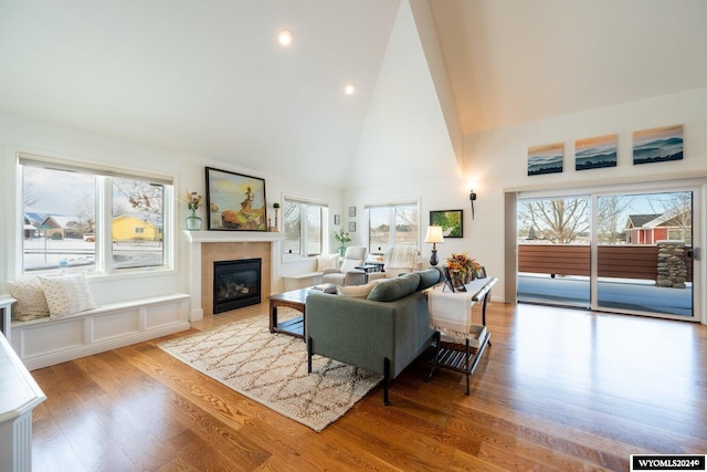 living room with high vaulted ceiling, a fireplace, a wealth of natural light, and light hardwood / wood-style flooring