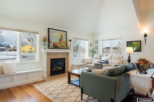 living room with lofted ceiling, light wood-type flooring, and a fireplace