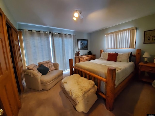 bedroom with carpet floors