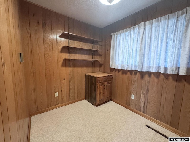 unfurnished room with a textured ceiling, wood walls, carpet flooring, and baseboards