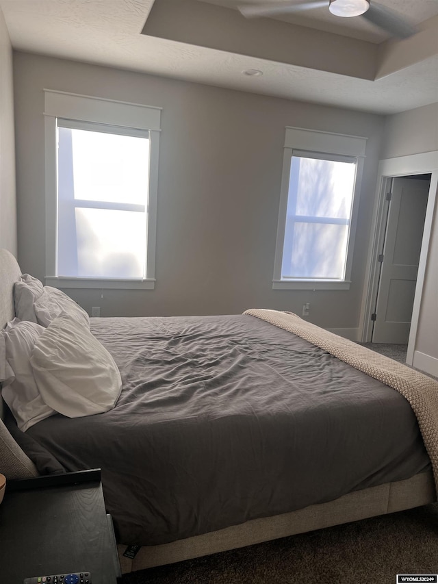 bedroom with a tray ceiling