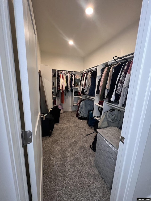 walk in closet featuring carpet flooring