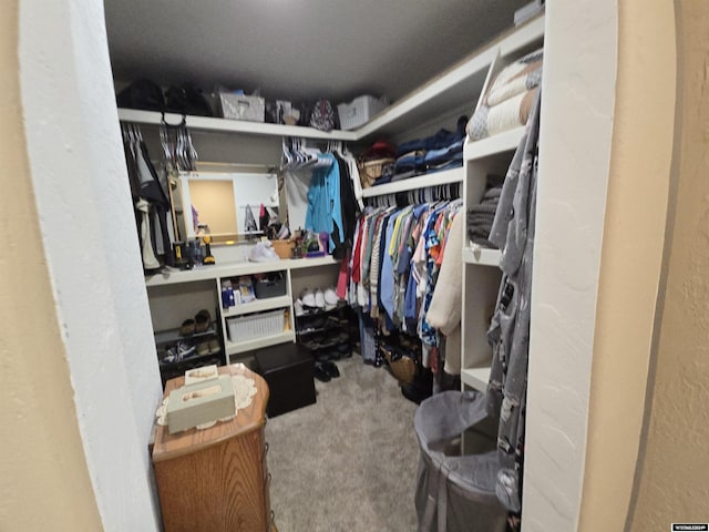 spacious closet with carpet