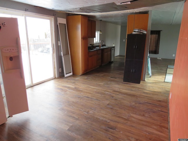 kitchen featuring pendant lighting, dishwasher, dark wood-type flooring, and sink