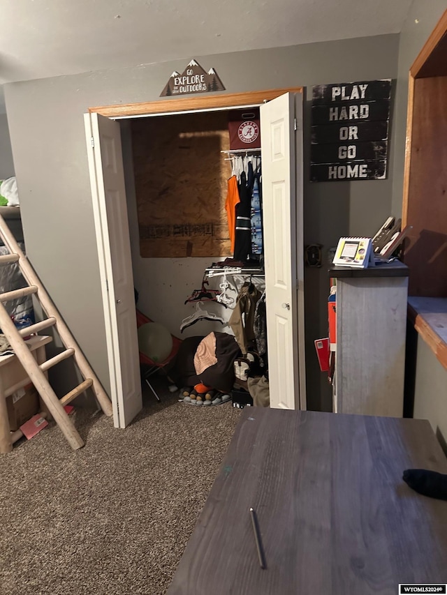 carpeted bedroom featuring a closet