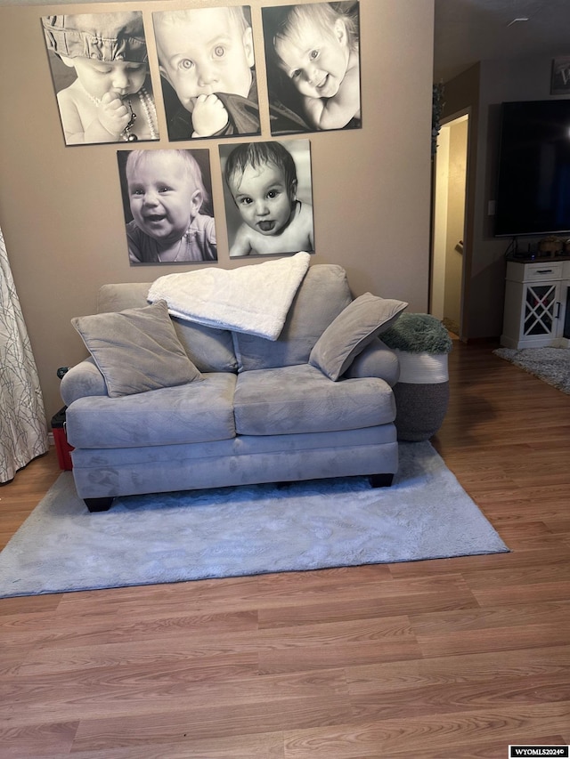 living room featuring hardwood / wood-style floors