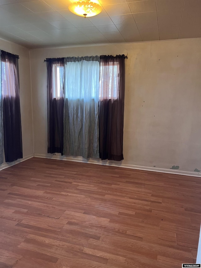 spare room with hardwood / wood-style floors