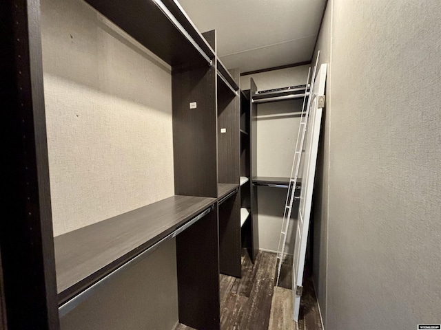 walk in closet with dark wood-type flooring