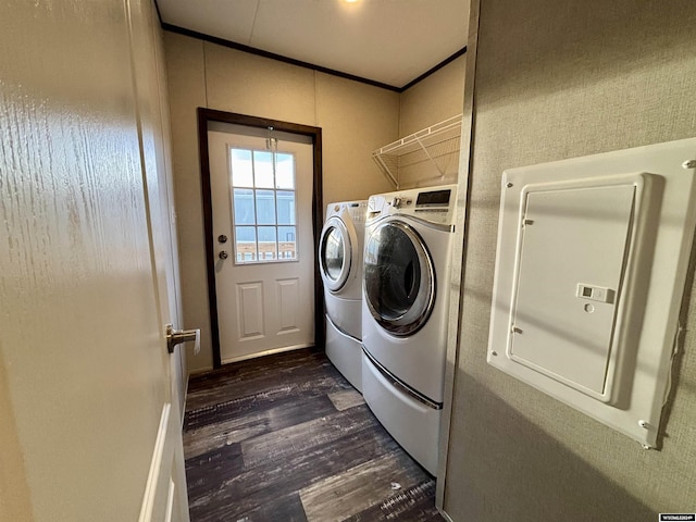 clothes washing area with independent washer and dryer, dark hardwood / wood-style flooring, and electric panel