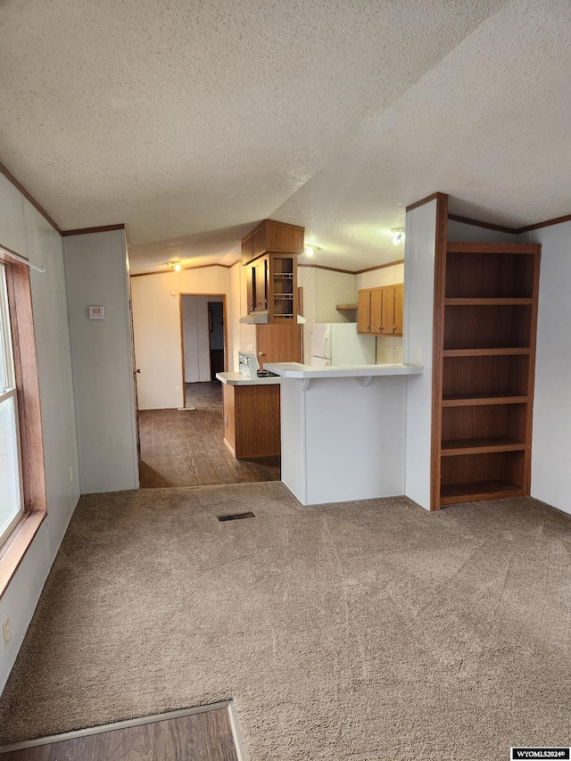 unfurnished living room featuring lofted ceiling, carpet floors, a textured ceiling, and ornamental molding