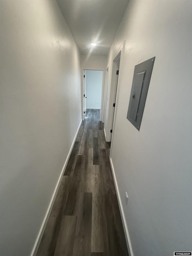 corridor with electric panel and dark wood-type flooring