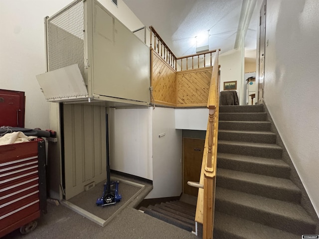 staircase with carpet floors