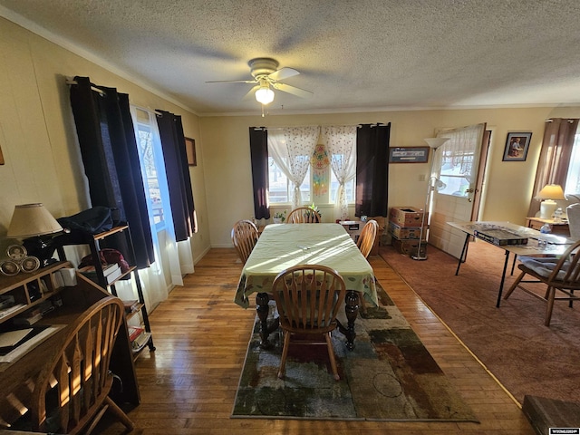 dining room featuring a textured ceiling, hardwood / wood-style flooring, and ceiling fan